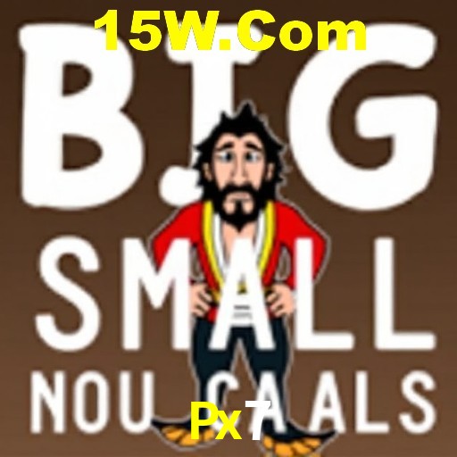 Px7 Salvador - Strategies